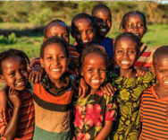 Lorem ipsum dolor sit amet sed do adipiscing elit.